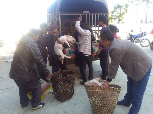 QQ图片20161208101850