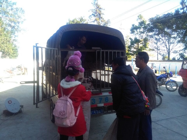 QQ图片20161208101812