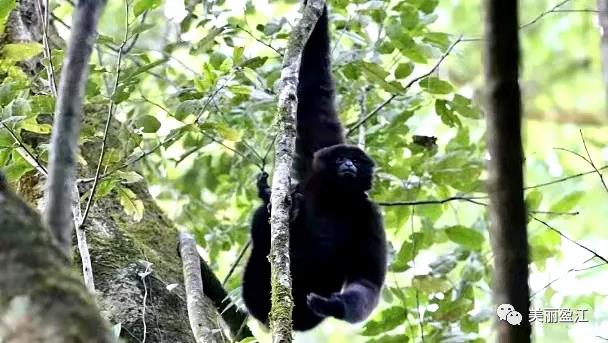 微信图片_20210119144511