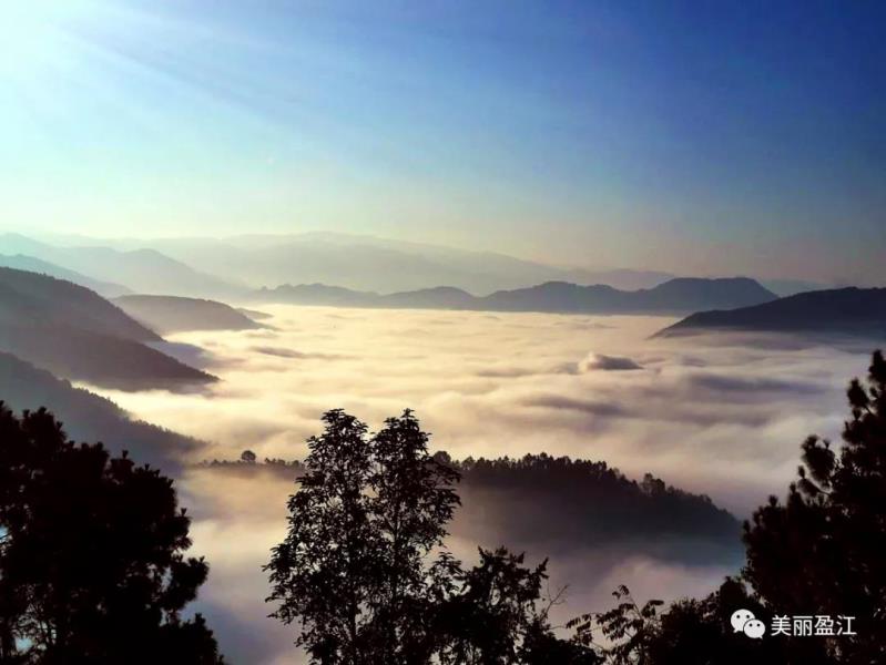 微信图片_20210119144449