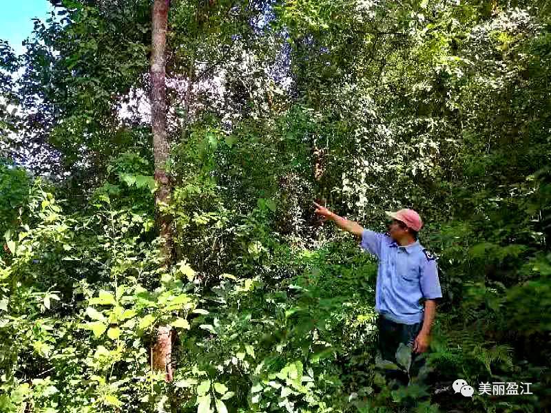 微信图片_20210119144458