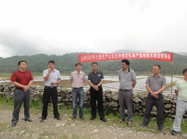 全州2014年山区玉米高产栽培技术培训现场会在盈江召开1.jpg
