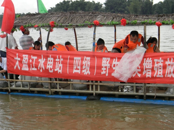 大盈江增殖放流活动2.jpg