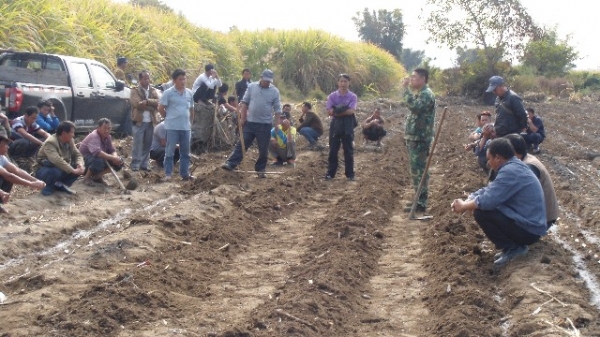 盈江县蔗糖办在弄璋镇飞勐村召开宿根甘蔗间套种马铃薯技术培训会2_resize.JPG