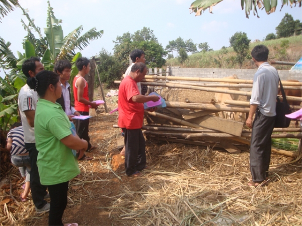 强化服务正能量 畜禽养殖技术进乡村2.jpg