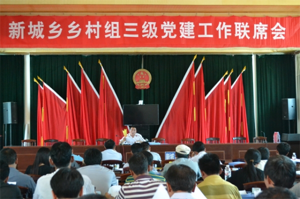 新城乡召开乡村组三级党建联席会1.jpg