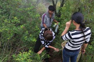 开展志愿服务活动 共创美好景区5.jpg