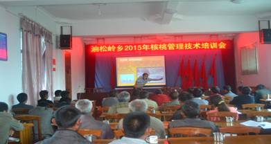 油松岭乡开展2015年油茶、核桃种植培训7.jpg