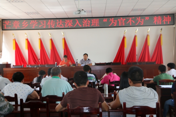 芒章乡认真组织学习盈江县治理.jpg