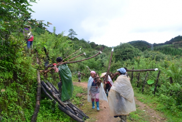 推进村寨开发 党员模范带头 ——蚌林党支部党员开展樱花种植活动.jpg