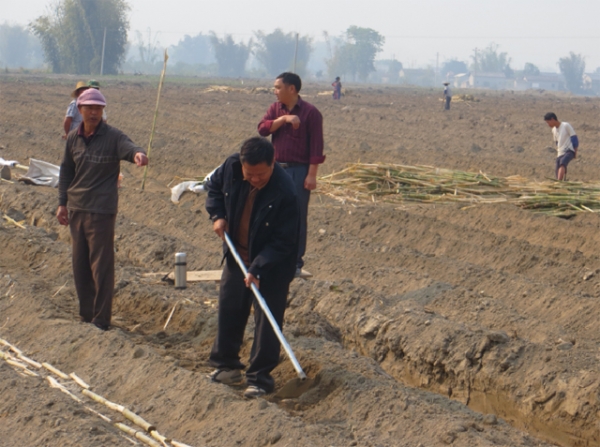 深入田间地头 倾听群众呼声.jpg