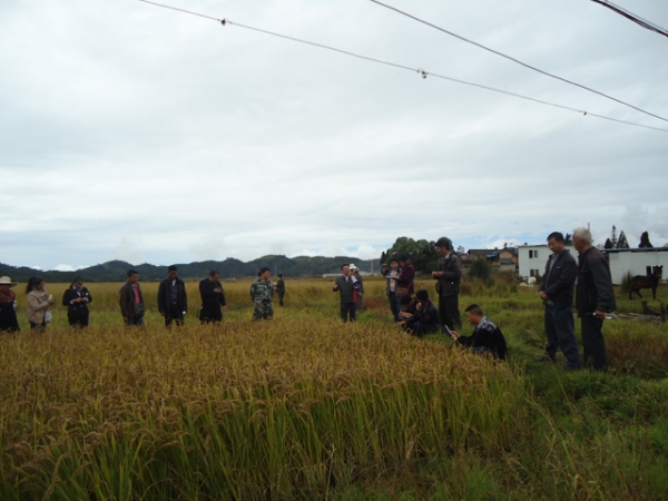 抓党建  促发展——昔马镇开展党代表活动照片2.JPG