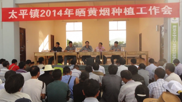 (太平镇简报97期图片).JPG