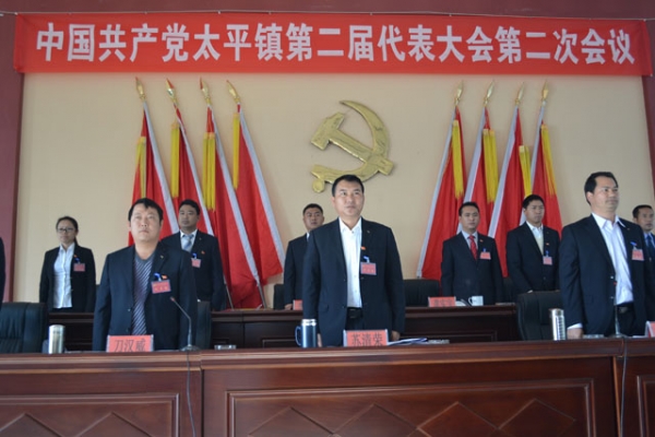 简报103中共太平镇第二届代表大会第二次会议顺利召开.JPG