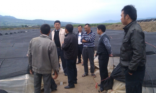 油松岭乡简报照片 .jpg