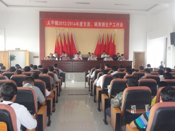 太平镇召开2013／2014年度甘蔗、晒黄烟生产工作会1.JPG