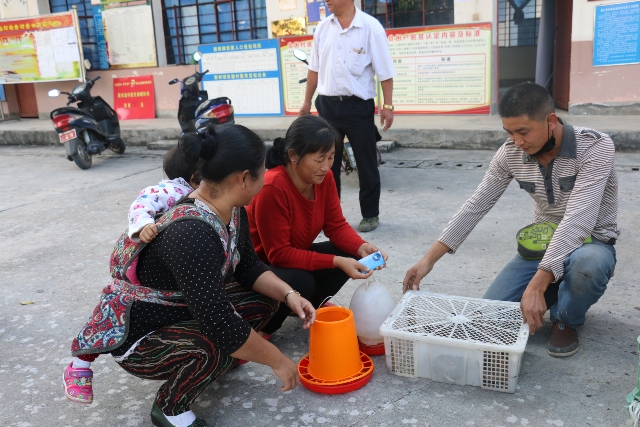 口袋里的农家宝01100129313ADD2