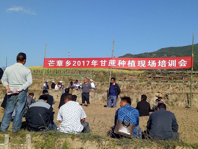 1芒章乡召开2017年甘蔗种植现场培训会