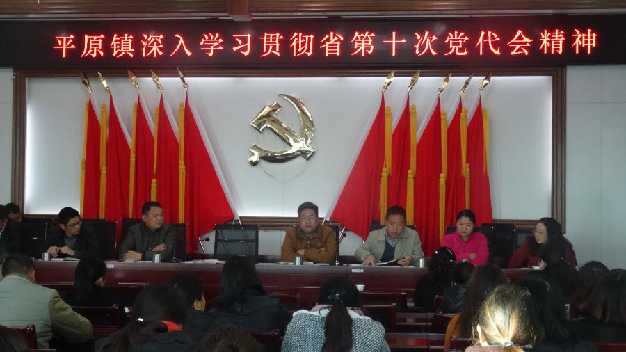 平原镇学习贯彻省第十次党代会精神