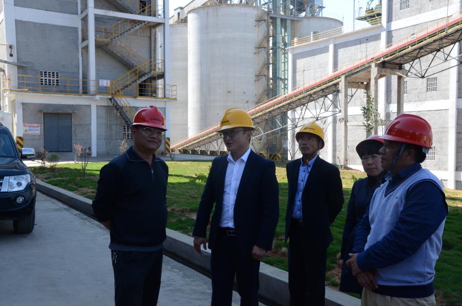 海螺水泥_看图王