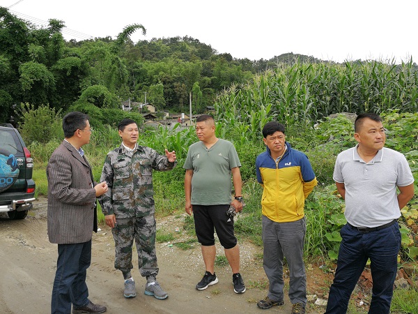 QQ图片20170721161553