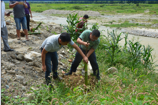 QQ截图20170807173606