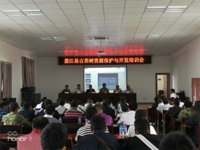 卡场镇召开古茶树资源保护与开发培训会