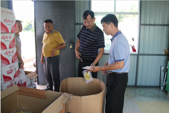 德宏州委调研旧城镇基层政权建设工作1