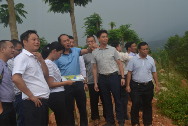 岩补县长一行督导万塔小镇征地工作1