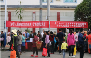 盈江县开展“法治进边寨 共筑同心梦”青年普法志愿者法治文化基层行大型宣传活动4