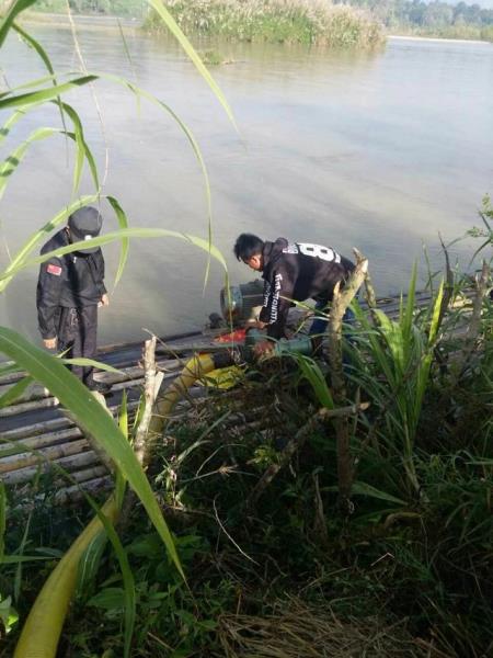 重拳出击，守卫绿水青山3