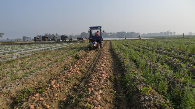 马铃薯生产全程机械化作业 节本增效明显2