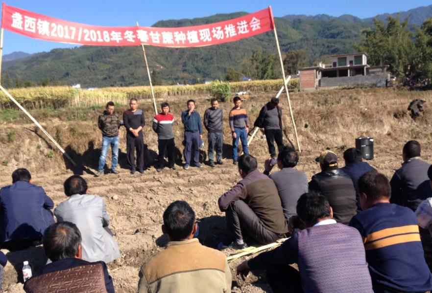 盏西镇召开2017-2018年冬春甘蔗种植推进会