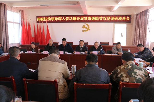 州人大副主任柳五三到昔马镇调研工作