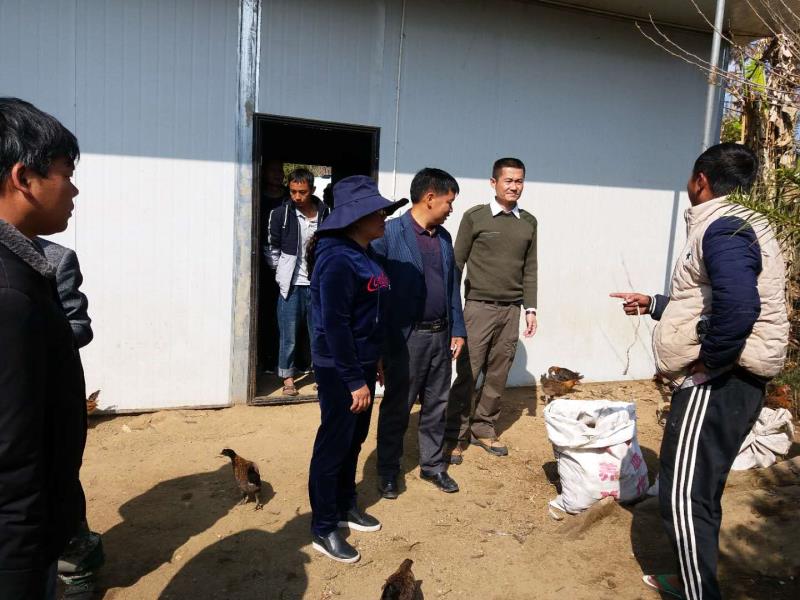 全镇上下一条心 自救互救暖人心1