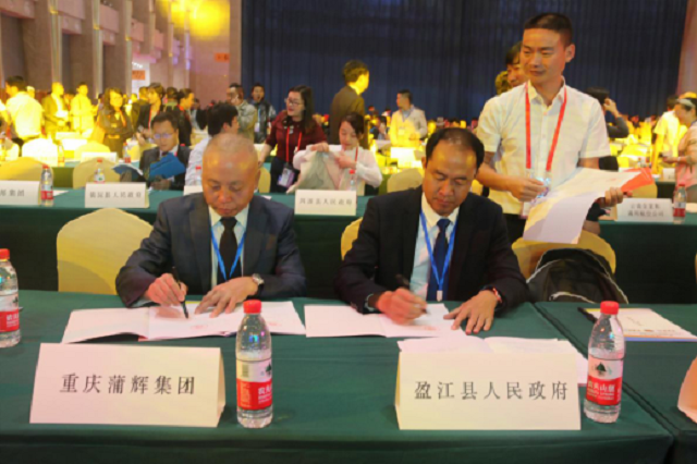 德宏大盈江万塔小镇项目投资建设合作协议在第5届南博会上正式签订2