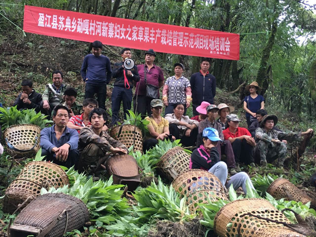 妇女之家谋生产 集体经济“火”起来1