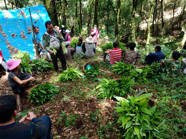 妇女之家谋生产 集体经济“火”起来2