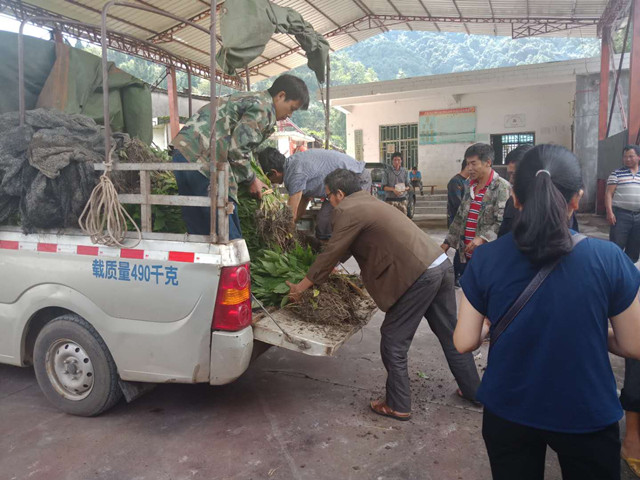 妇女之家谋生产 集体经济“火”起来3