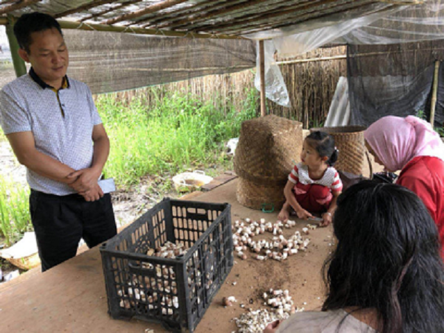 产业助脱贫 农户现增收