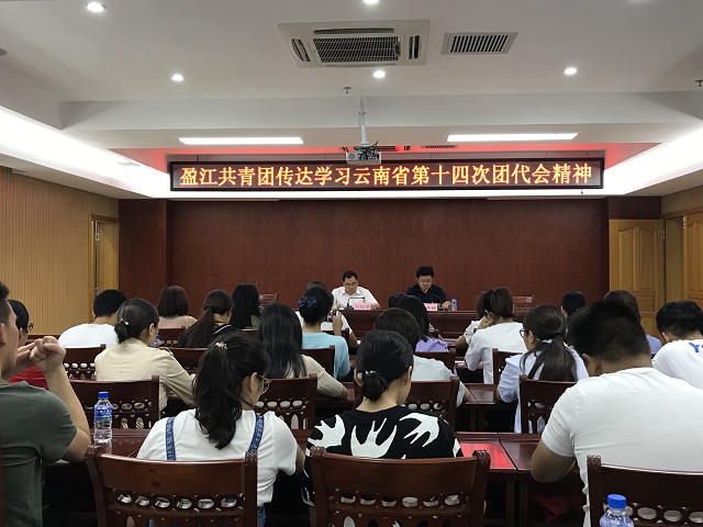 盈江共青团传达学习云南省第十四次团代会精神暨学习贯彻习近平总书记7.2重要讲话精神1