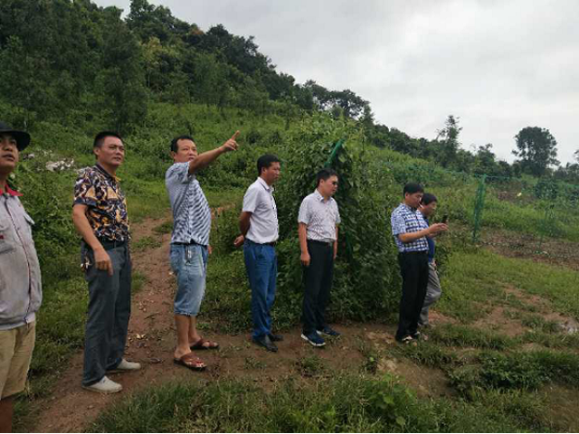 云南省农村能源站站长调研督促盈江县农村能源建设工作