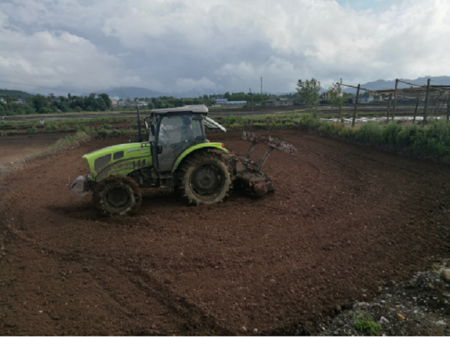 全州水稻生产全程机械化现场观摩会在昔马召开2