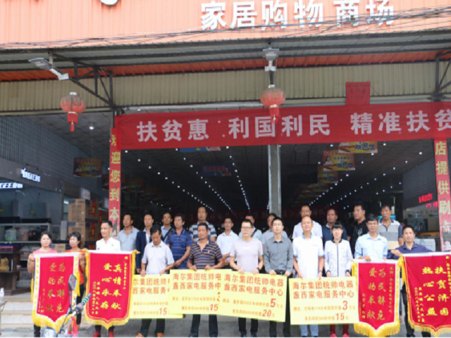 海尔集团到盏西镇举行“公益万里行”惠民工程捐赠仪式3