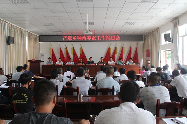 种桑养蚕增收入 养好桑蚕致富快1