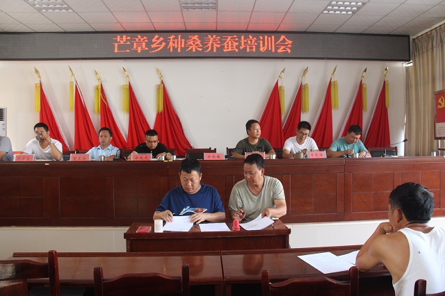 种桑养蚕增收入 养好桑蚕致富快2