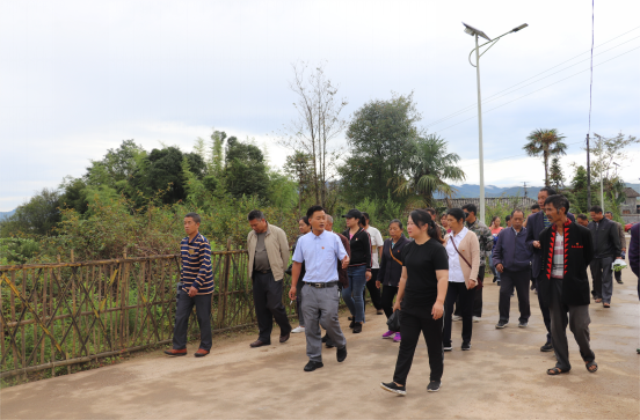 昔马镇组织开展人大代表视察活动