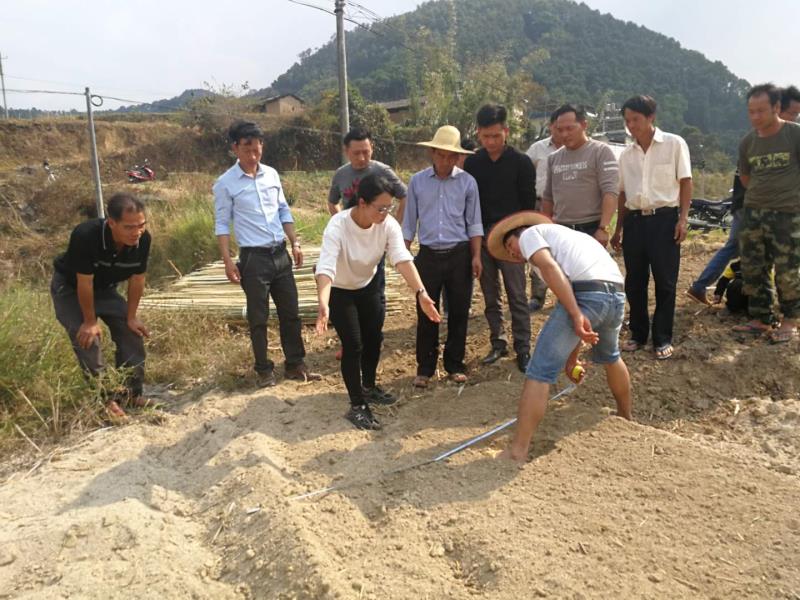 新城乡2020年上海对口帮扶百香果种植项目启动培训会在杏坝村召开09