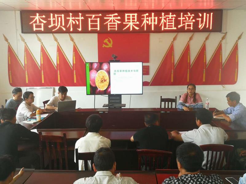 新城乡2020年上海对口帮扶百香果种植项目启动培训会在杏坝村召开98CFF9