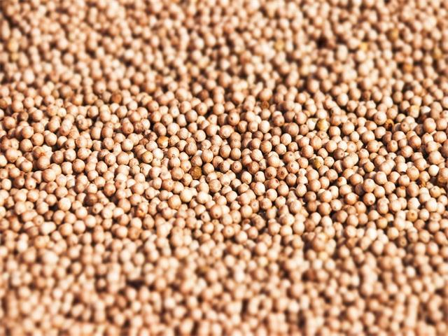 配图2：可上桌的白胡椒_看图王